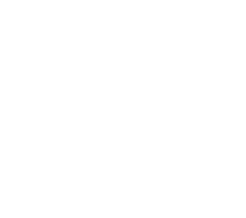 investigative-research-icon-suitcase