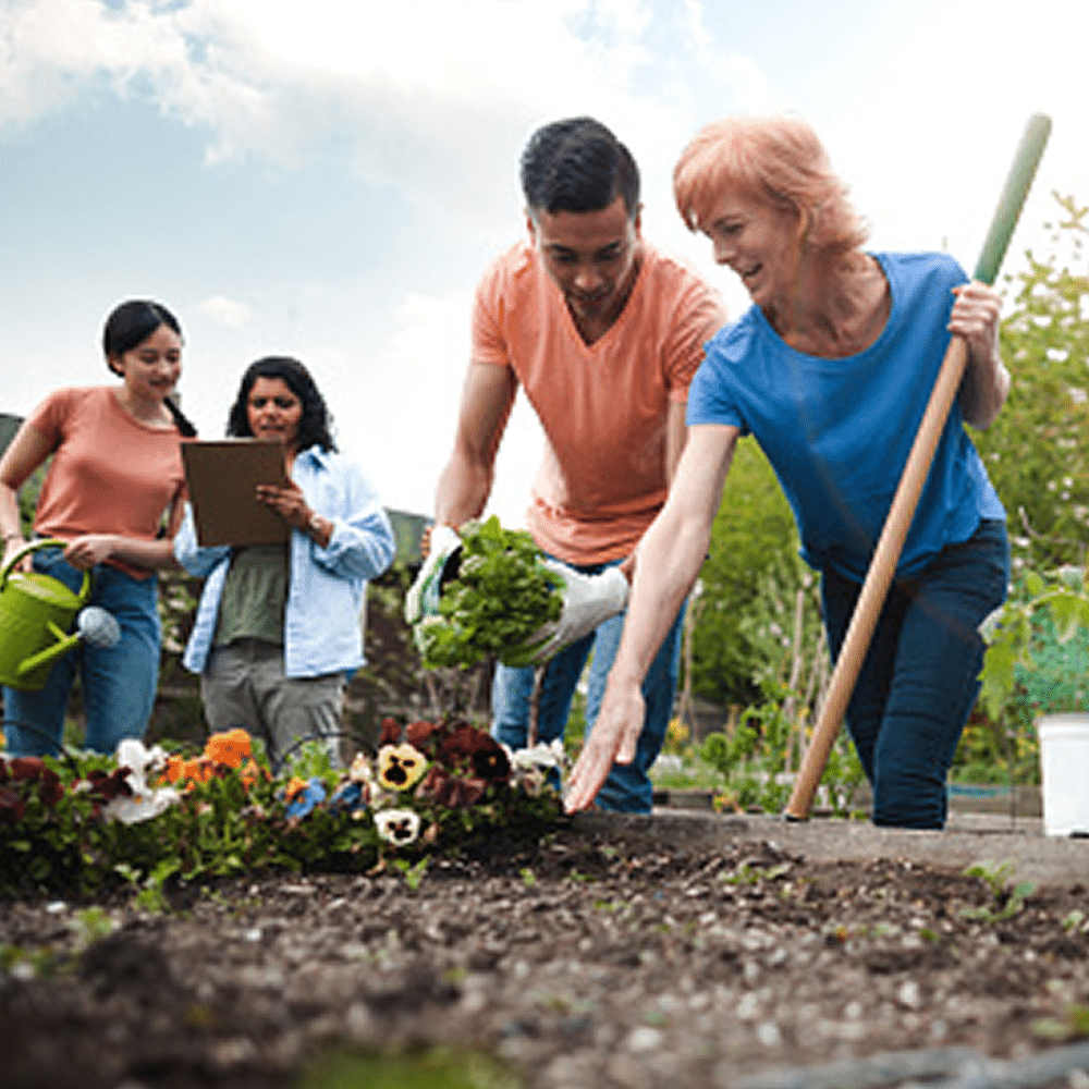 Group planting flowers in a community garden